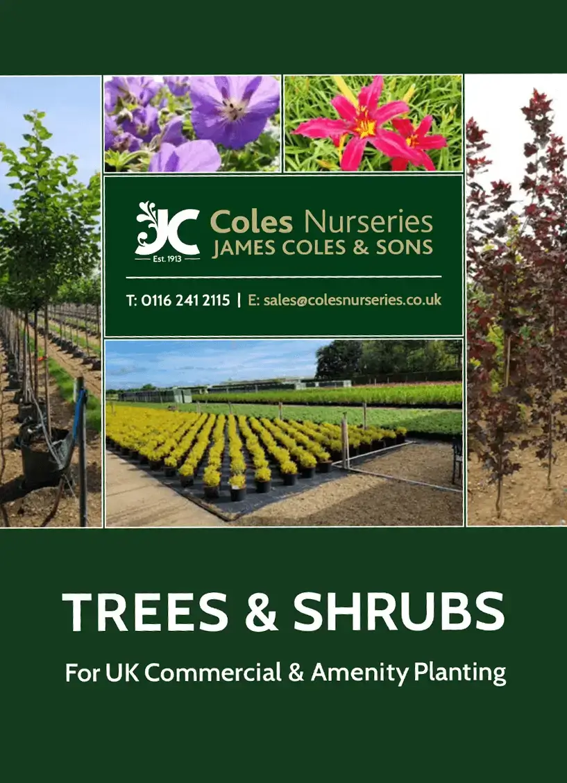 Coles Nurseries