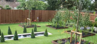 garden renovation
