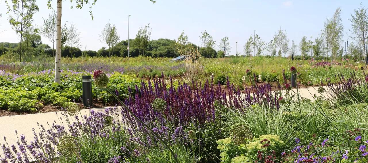 Coles Nurseries