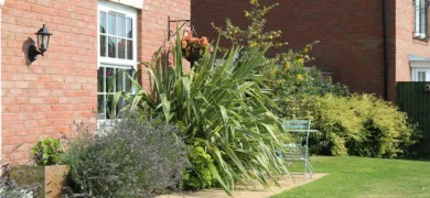 large flower bends in garden