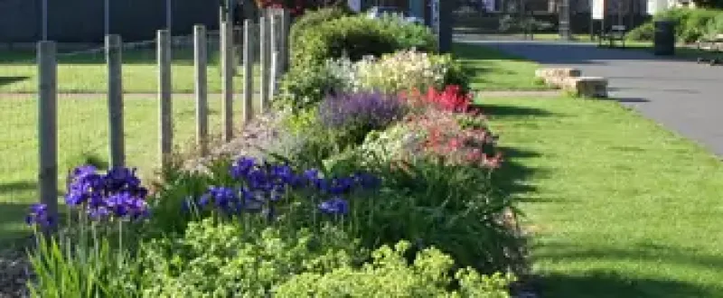 Bentley Park flowers