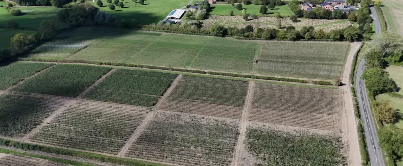 aerial view of Coles Nurseries